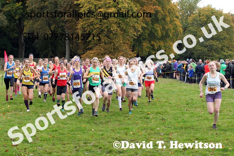 Senior womens 2021 NEHL Lambton Castle near Chester le Street, County Durham. Photo: David T. Hewitson/Sports for All Pics